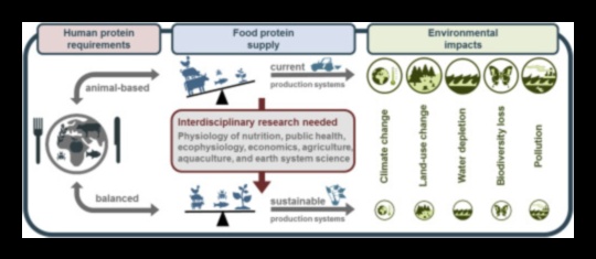 Yüksek Proteinli Diyetler ve Sürdürülebilir Tarım: Yeşil Bir Yaklaşım