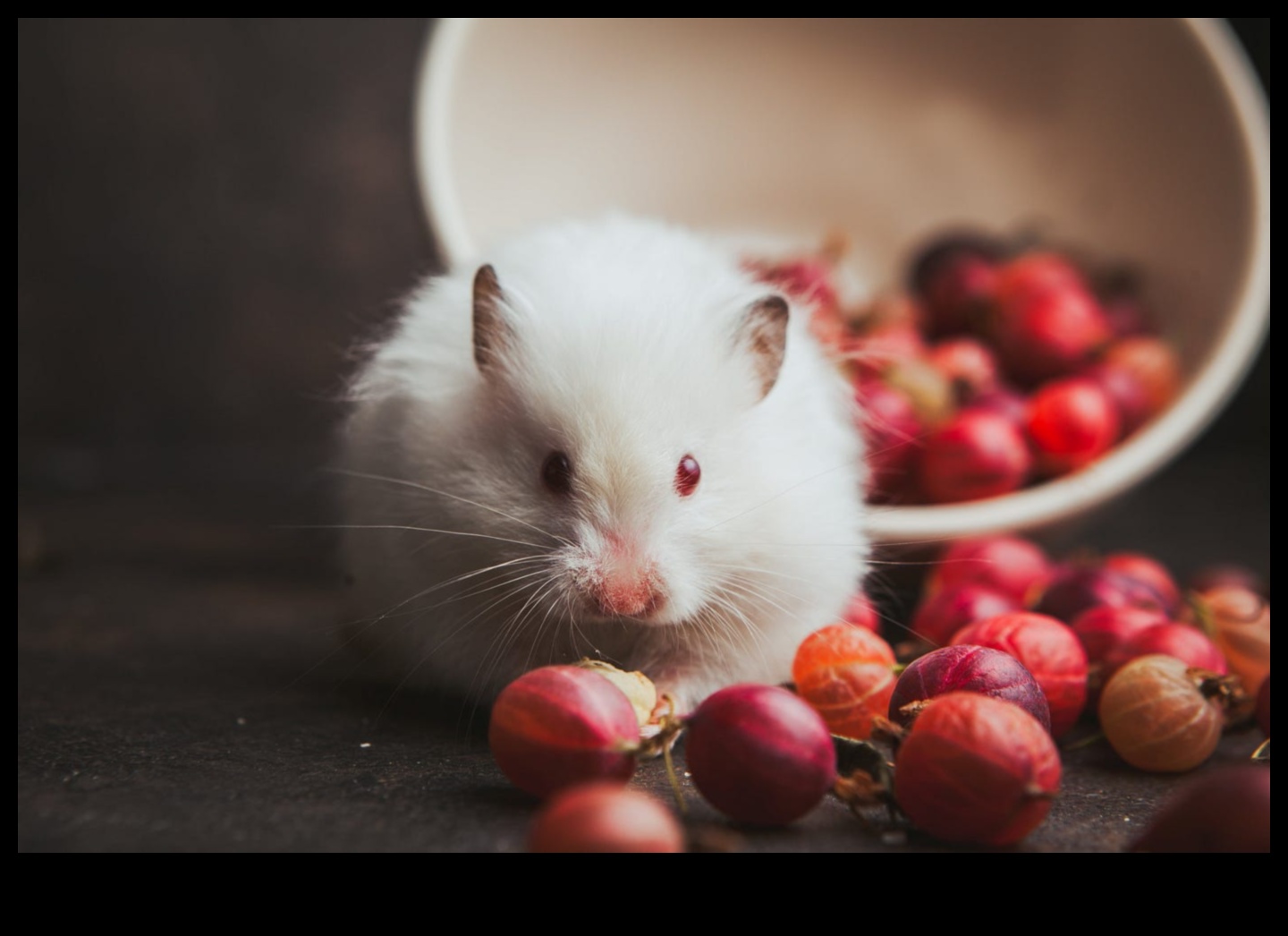 Hamster Alışkanlıkları: Bu Küçük Yaratıkların Tuhaf Davranışlarını Keşfetmek