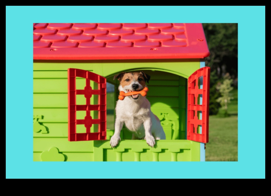 Barkitecture Planı: Mükemmel Köpek Dostu Alanı Tasarlamak