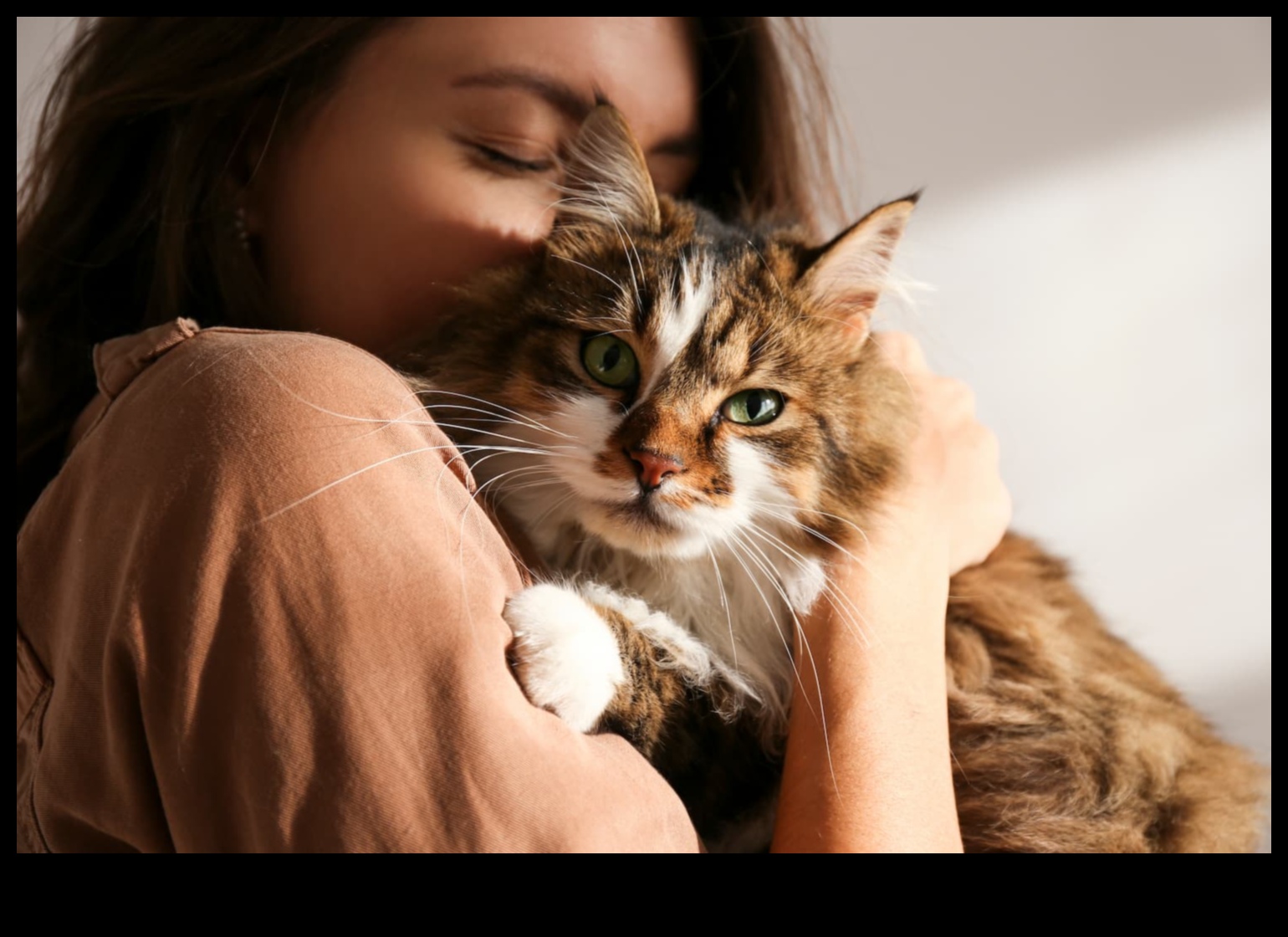 Bıyık İzleme: Kedi Bıyık Sinyallerini Gözlemleme ve Anlama