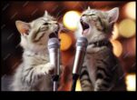 Kitty Karaoke Kedilerin Ses Yeteneklerini ve İfadelerini Keşfediyor